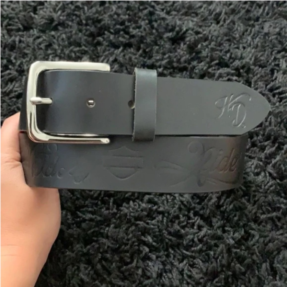 New Harley-Davidson wild ride belt